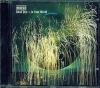 Dead Star / In Your World